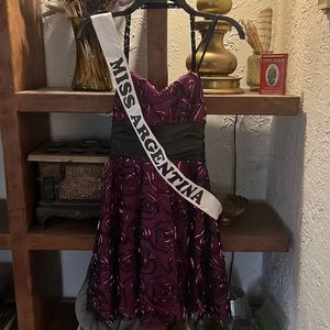 Miss Argentina Halloween Costume